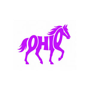 Die Cut Vinyl Stickers - 3x3 - Ohio